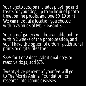 How much does it cost?